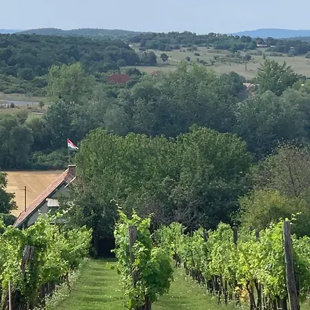 Pecsely Apartman Apartmán *