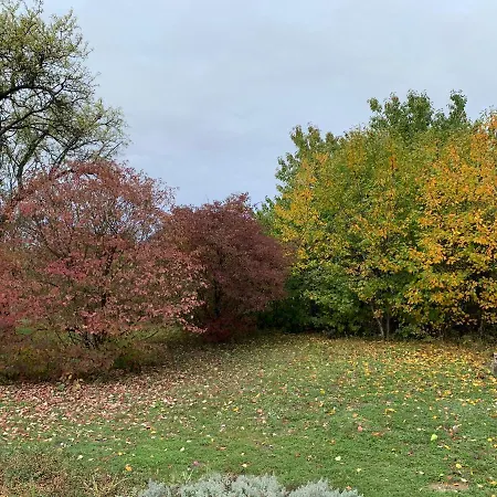 Pecsely Apartman Apartmán *