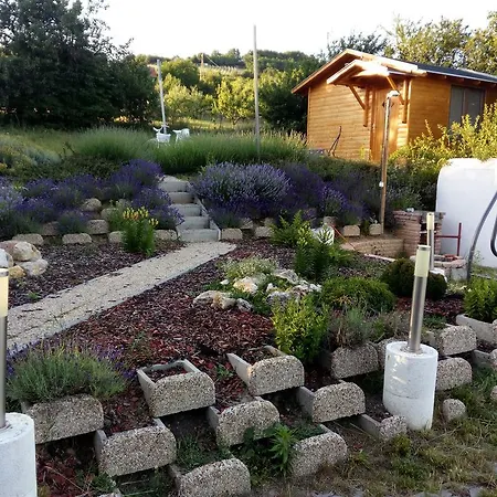 Apartman Pécsely apartman Pécsely