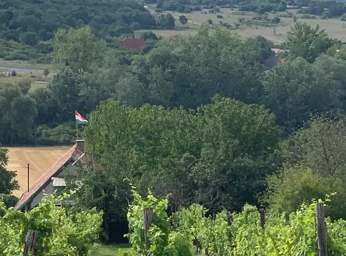 Pécsely apartman Apartman *