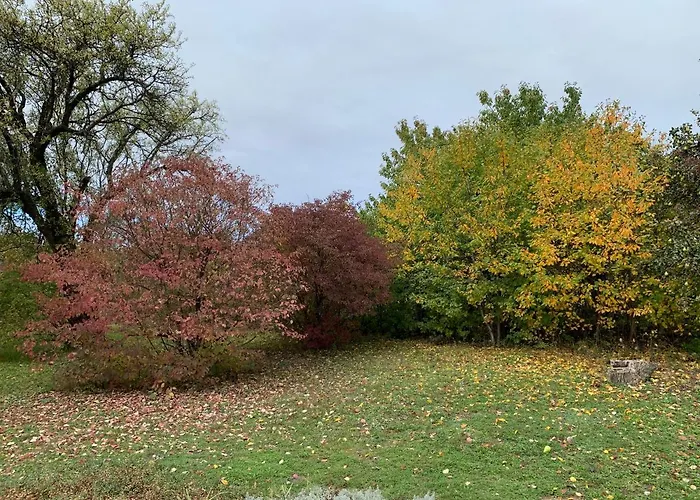 Pecsely Apartman شقة *