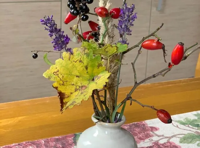 Pecsely Apartman شقة